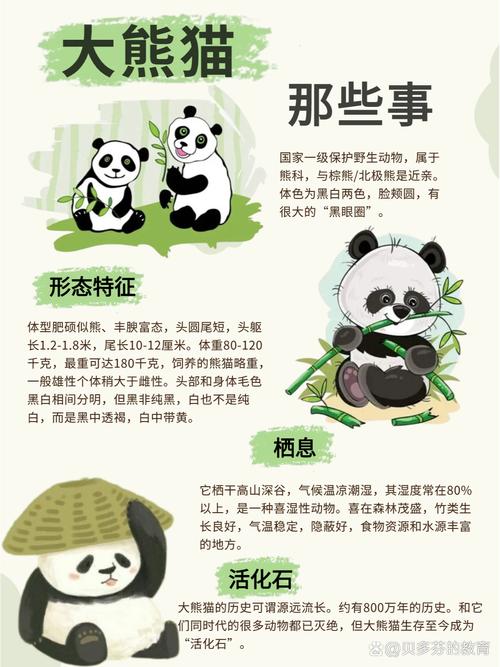 天天酷跑之宝袋熊猫全面解析:属性特点性能优势及实战表现探索