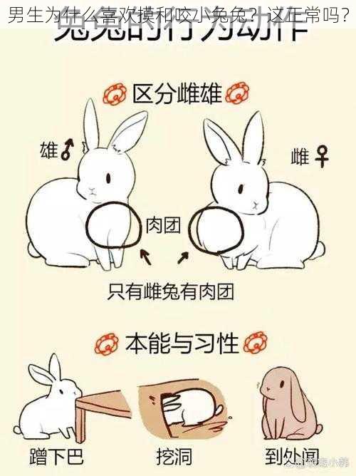 男生为什么喜欢摸和咬小兔兔?这正常吗?